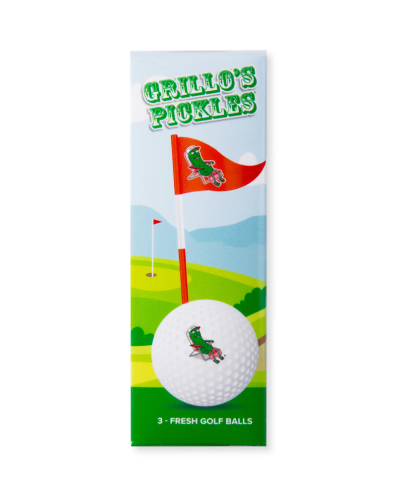 golf ball sleeve with golf ball and flag with pickle in lounge chair on it